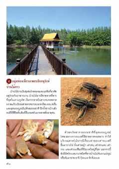 เส้นทางการท่องเที่ยวชุมชนเชิงวัฒนธรรม