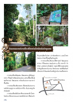 เส้นทางการท่องเที่ยวชุมชนเชิงวัฒนธรรม