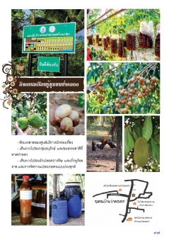 เส้นทางการท่องเที่ยวชุมชนเชิงวัฒนธรรม