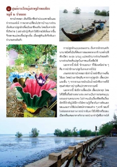 เส้นทางการท่องเที่ยวชุมชนเชิงวัฒนธรรม